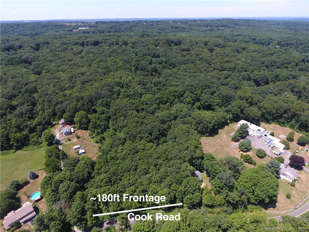 OPTIONS APLENTY. The opportunity to create your own private estate on a beautiful wooded lot in a desirable location. This land provides so many possibilities. Just across the street you will find over 600 acres of water company land. It is rare to see a chunk of land like this come on the market in Prospect. Land is also sub-dividable with buyer's due diligence.