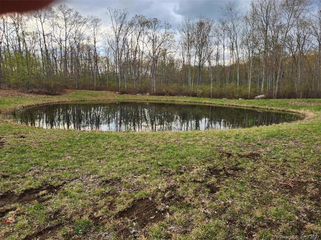 Private lot. Wooded with a pond. Fantastic setting. An area is cleared for a home to be built. Setting is spectacular. All surveyed with deep hole tests on map.Property Sold As Is.