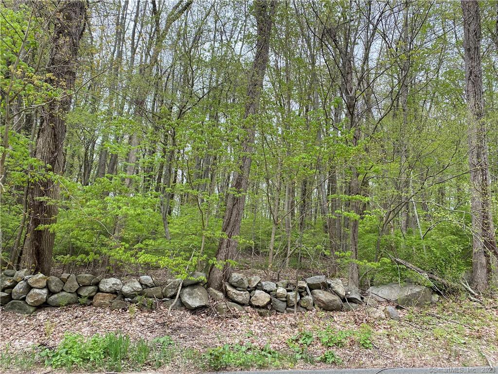 beautiful wooded lot that borders Vineyard Valley Golf Course.