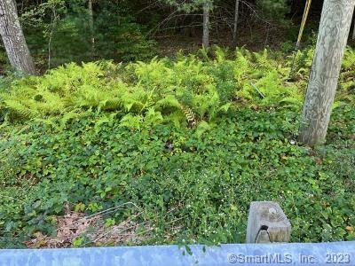 Rolling wooded Lot with lots of Frontage on Grapevine Brook. Close to the Highway. Testing was done in 1978 and 1986, may need to be redone. Guard may need to be relocated for Driveway.